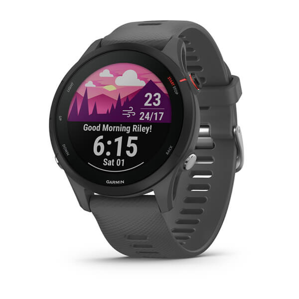Garmin Forerunner 255 Basic Slate Grey 4GB 1.3" Smartwatch Bluetooth Unisex