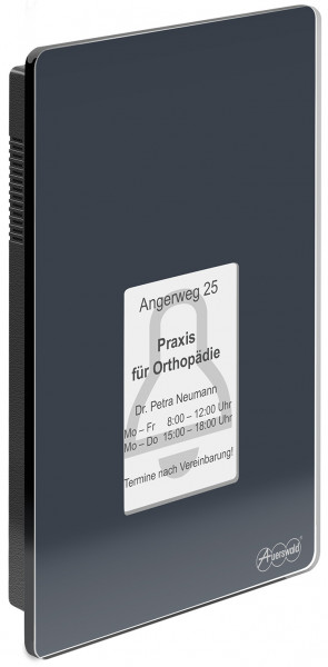 Auerswald TFS Dialog 400 anthrazit grau Türsprechsystem Glasfront Sensortasten