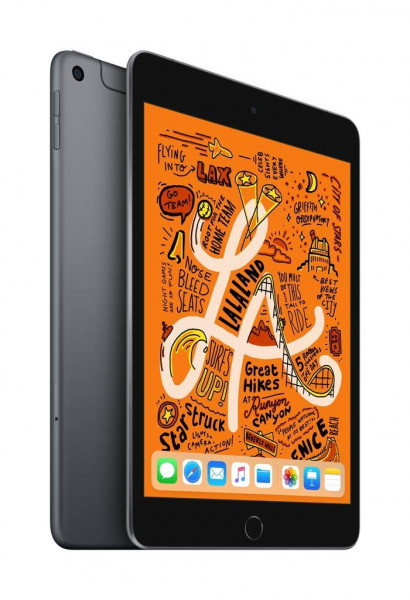 Apple iPad 2019 10.2 spacegrau 32GB LTE iOS Tablet 10,2" Retina Display 8 MPX