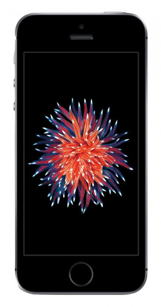 Apple iPhone SE Spacegrau 16GB LTE IOS Smartphone ohne Simlock 4" Display 12 MPX