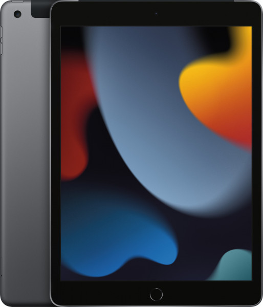 Apple iPad 9.Generation 256GB 4G Apple iPadOS Grau 10.2" Retina Display Dual-SIM